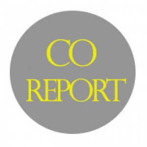 cropped-Co-Report-Pixel-Logo.jpg