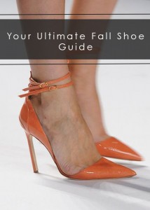 fall shoe guide -1, Fall shoes for women, shoes for fall, fall shoe trends, best fall shoes, 2014 fall shoes, fall shoe trends for women, shoe guide for women, fall shoe guide, 2014 shoe trends, fall shoes for women, fall shoes for women 2014, Avant garde shoes, avant garde heels, Blue shoes, Strappy heels, Strappy shoes, shoes with a chunky heels, chunky heeled shoes, chunky heels, embellished shoes, fashion blogger, nyc fashion blogger, texas fashion blogger, black fashion blogger, Best fashion blogger