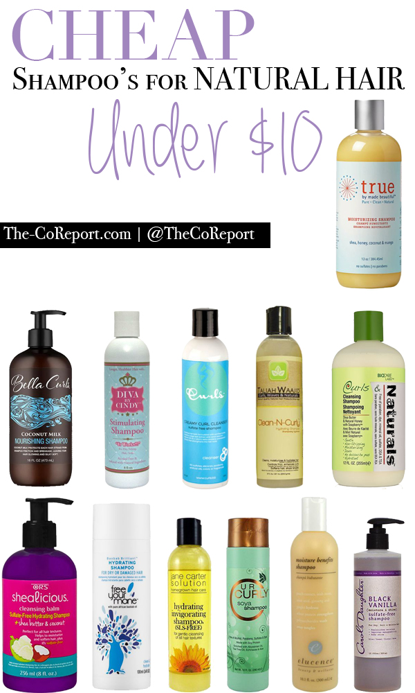 Over 50+ Affordable Natural Hair Products: & Under! - Blossom & Sol