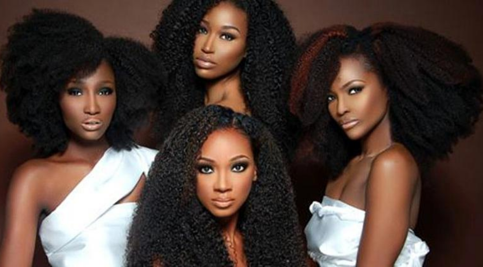 11 Black-Owned Natural Hair Wigs & Hair Clip Brands -Blossom & Sol