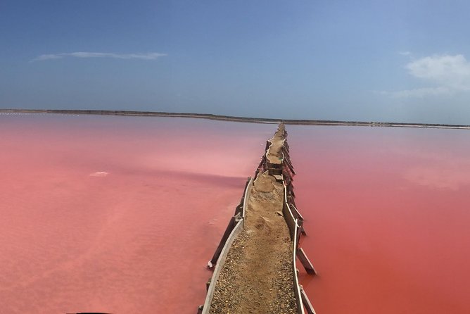 The Pink Sea Of Colombia, The Pink lake Of Colombia, cartagena tours, cartagena vacation, visit cartagena, vacation cartagena, cartagena travel guide, cartagena day trips, tours in cartagena, cartagena colombia tours, lonely planet cartagena, what to see in cartagena, cartagena what to do
