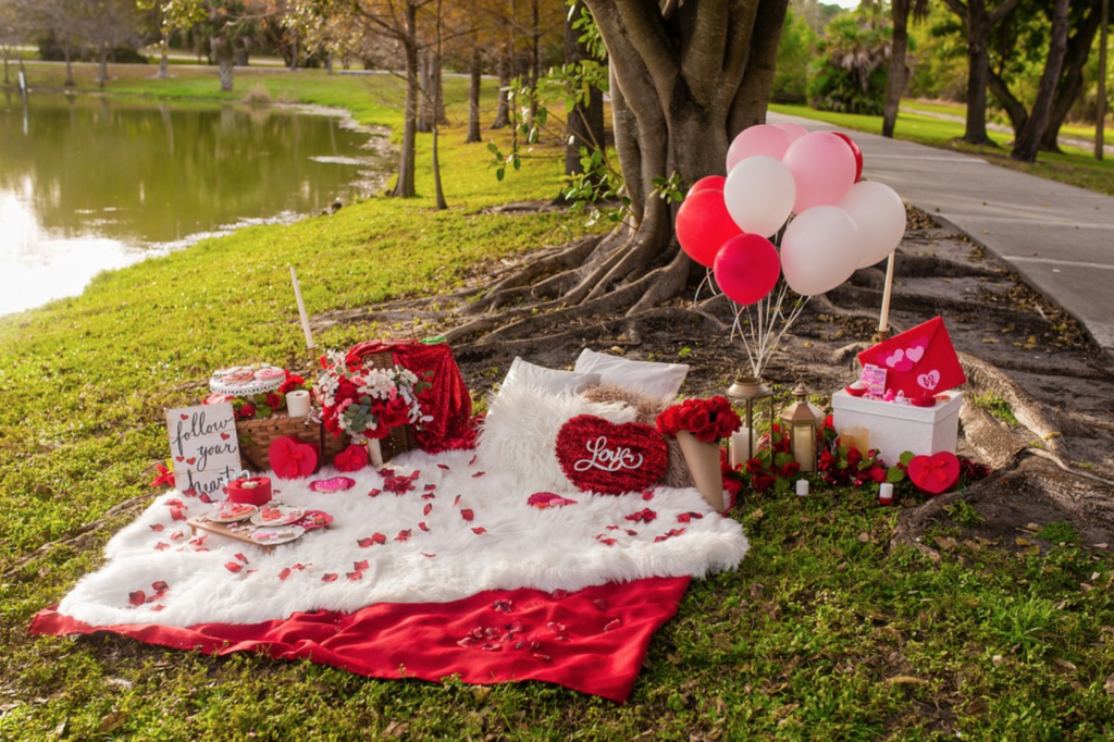 Valentine's Day Date Ideas Houston, What to do in Houston on Valentine's Day, Valentines Day Picnic in Houston