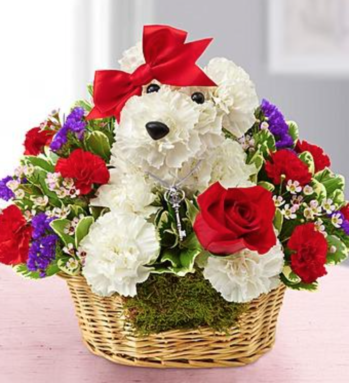 West Park Flowers, West Park Flower Shop, Houston Flower Delivery, Houston Valentines Day flower delivery